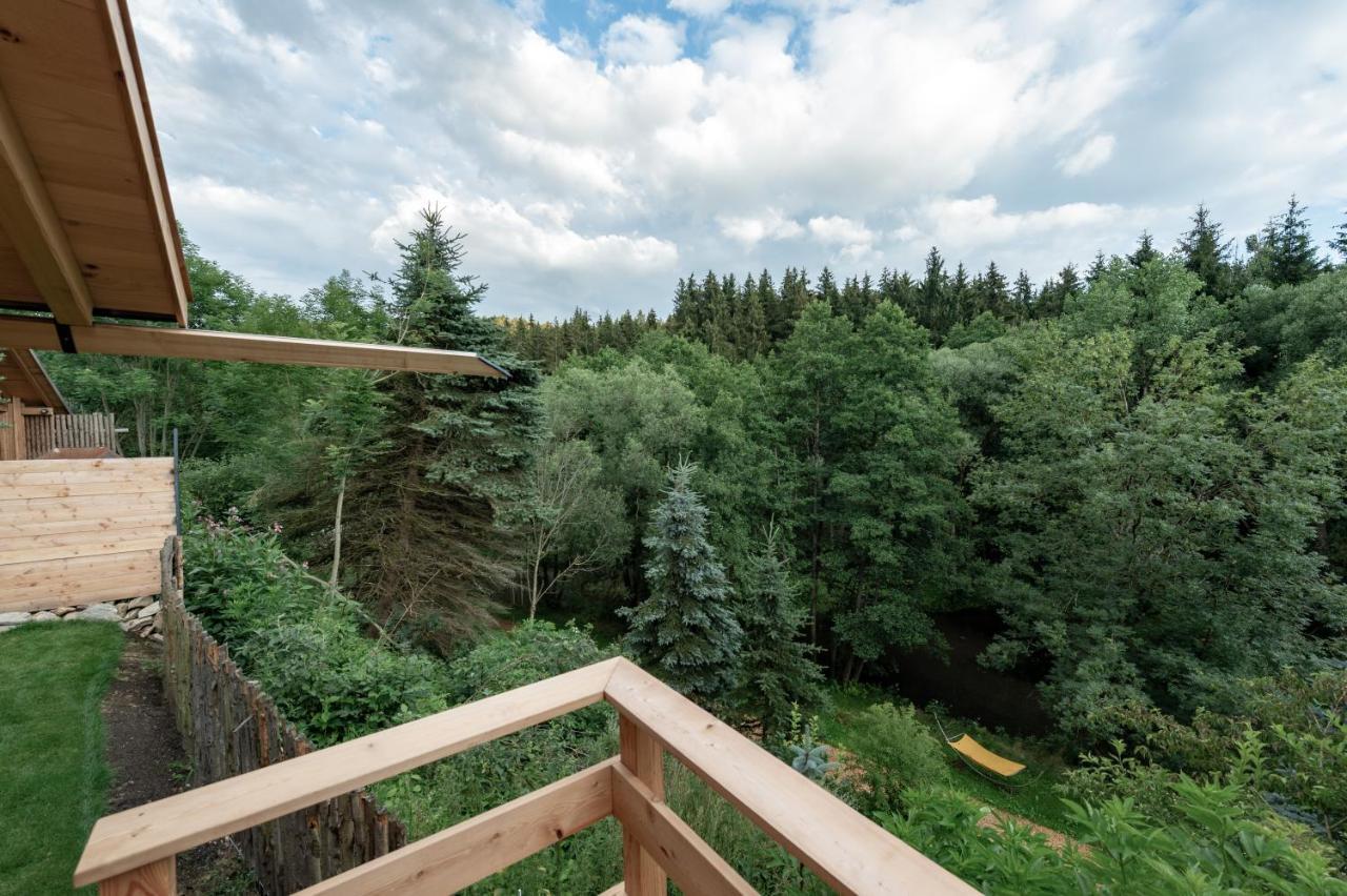 Forstgut - Premium Waldchalets Und Lodge Suiten Regen Exterior photo