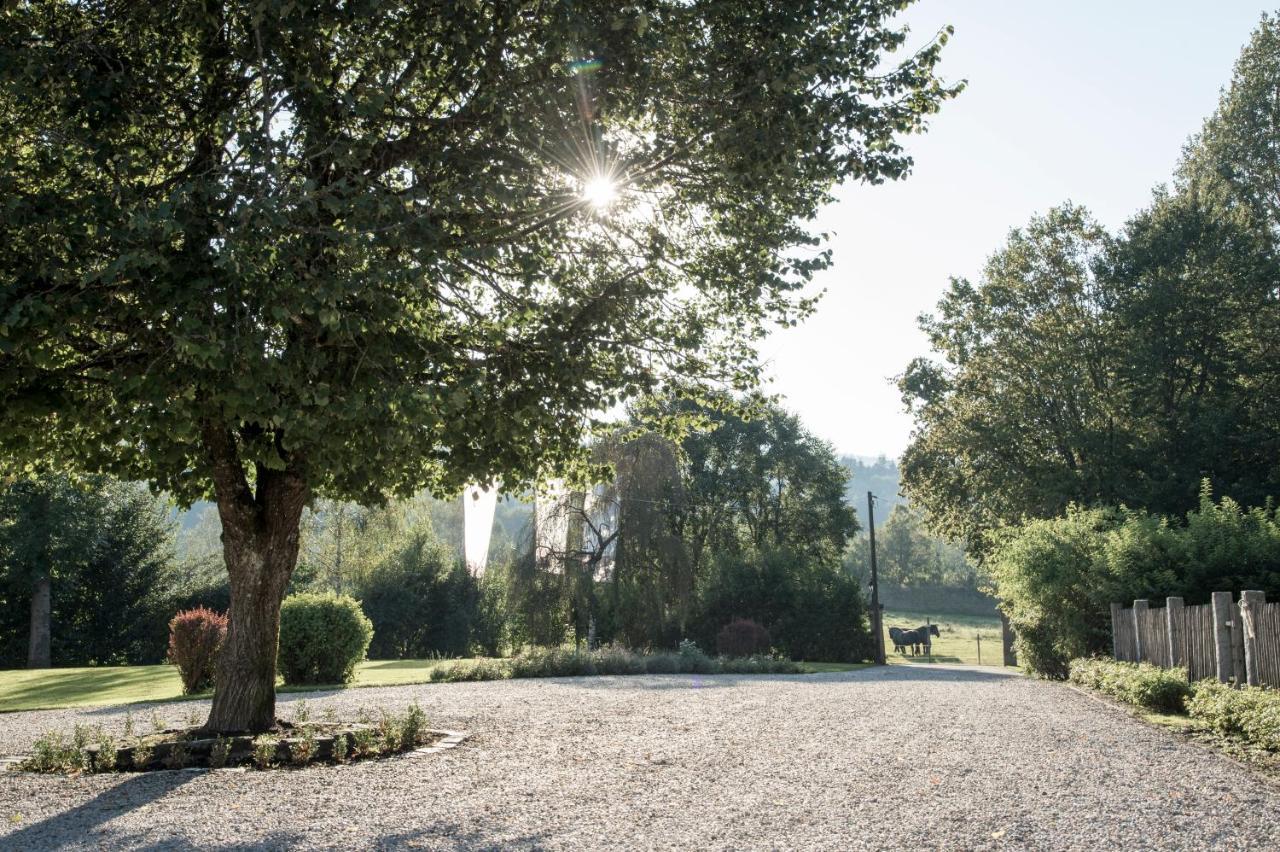Forstgut - Premium Waldchalets Und Lodge Suiten Regen Exterior photo